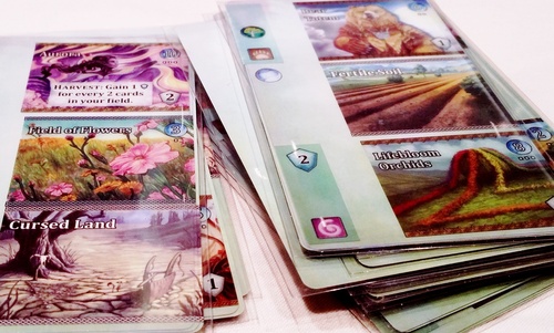 Mystic Vale Board Game Monopolis Mystic Vale Base Tabletop, Board and Card Game